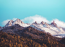 雪天怕滑倒？这样走路试试